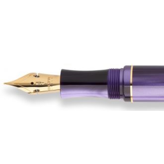 Pluma Estilográfica Delta Write Balance Purple